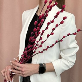 Верба розовая 70 см , 11шт