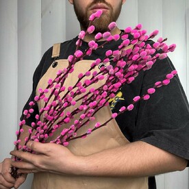 Розовая верба натуральная (окрашена) 15шт