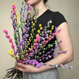 Пучок разноцветной вербы - 29шт