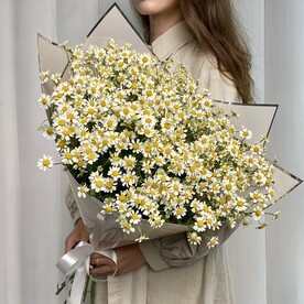 Букет кустовых ромашек - 17шт