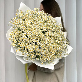 Букет кустовых ромашек - 25шт