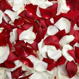 Лепестки роз