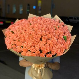 Розы Солнце ☀️