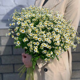 Солнышко ромашка