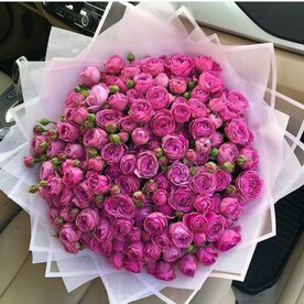 Пионовидная кустовая Роза