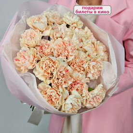 Букет нежных диантусов, 21 штука