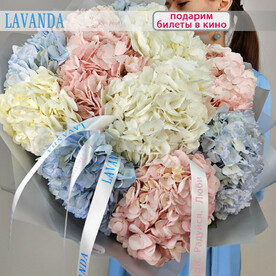 ВАУ-букет больших гортензий