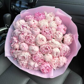 Пионы розовые Сара Бернар 35шт