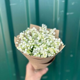 Ландыши Голландия 49шт