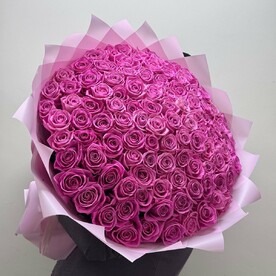 101 розовая Роза аква