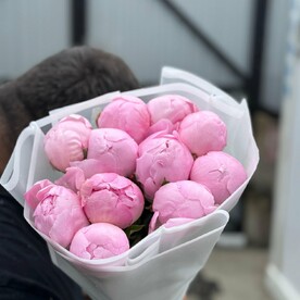Пионы розовые премиум 11шт