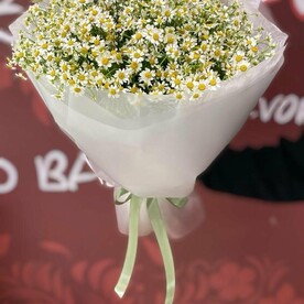 Букет ромашек