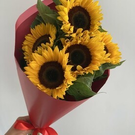 Подсолнухи