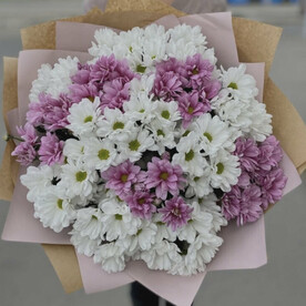 Букет из 15 кустовых хризантем