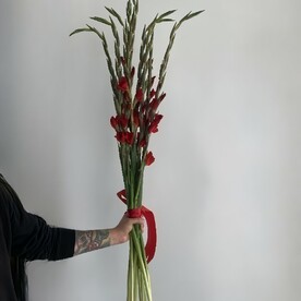 Букет из 9 красных гладиолусов