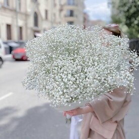 Нежное облако гипсофил