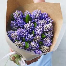 Букет из 25 синих гиацинтов