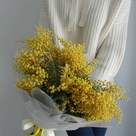 Букет из Мимозы