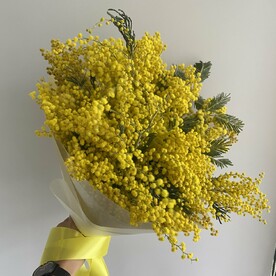 Шикарный букет мимозы