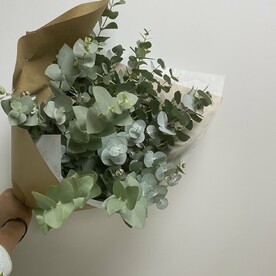 Пышный банч эвкалипта