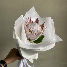 Букет из розовой протеи Ц В Е Т К Е В И Ч