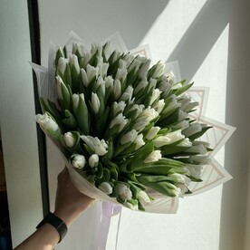 Букет из 75 белых тюльпанов