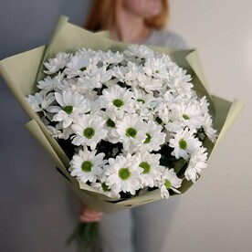 Кустовые ромашковые хризантемы 11 шт