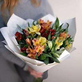 Альстромерии микс 11шт