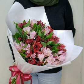 Красно-розовые альстромерии 19шт