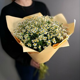 Букет ромашек