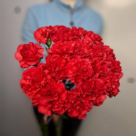 Гвоздика красная с черной лентой 20шт