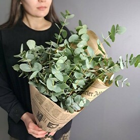 Букет ароматного эвалипта