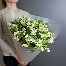 Белоснежные альстромерии