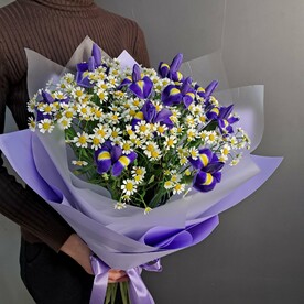 Полевые ромашки с ирисами