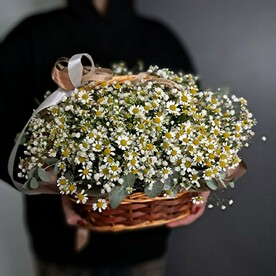 Корзинка с ромашками и воздушной гипсофилой