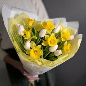 Солнечные нарциссы и белоснежные тюльпаны