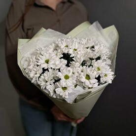 Ромашковые кустовые хризантемы