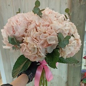 Букет из розовой гортензии