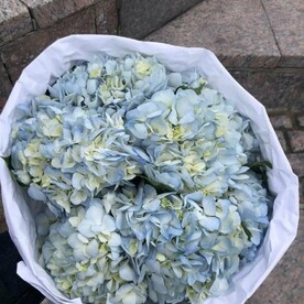 Кружевные Облака