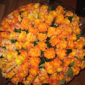 101 роза "Вау"