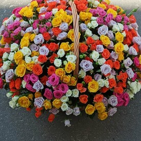 Огромная корзина кустовой розы