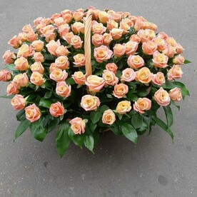 Корзина "Абрикосовый рай"