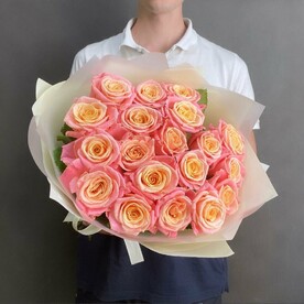 19 роз Мисс Пигги