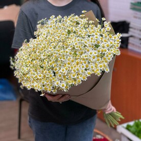 Шикарный букет из 25 ромашек
