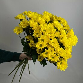 Букет желтых кустовых хризантем