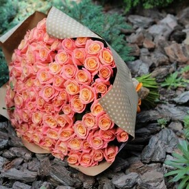 Огромный букет свежих персиковых роз