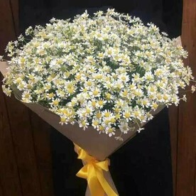 25 ромашек в крафтовой упаковке