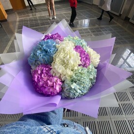 Стильный букет гортензий в дизайнерской упаковке