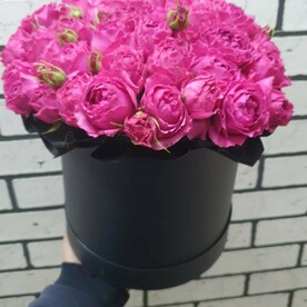 31 роза мисти баблс в чёрной шляпной коробке