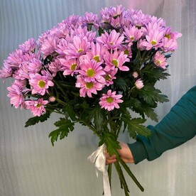 Классический букет розовых хризантем